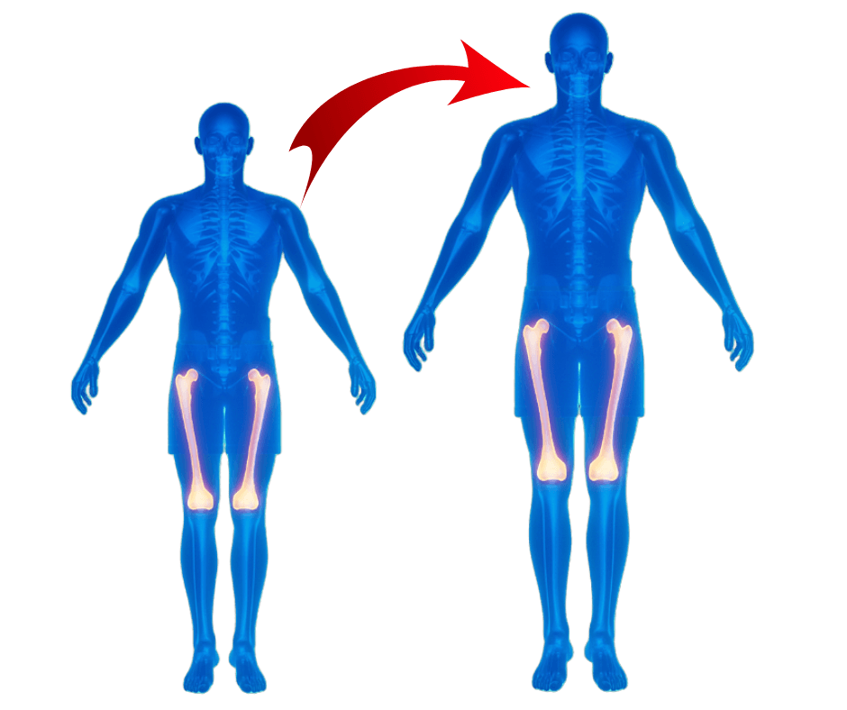 Cosmetic Center for Legs Lengthening & Legs Shape Correction — clinic photo — photo 7